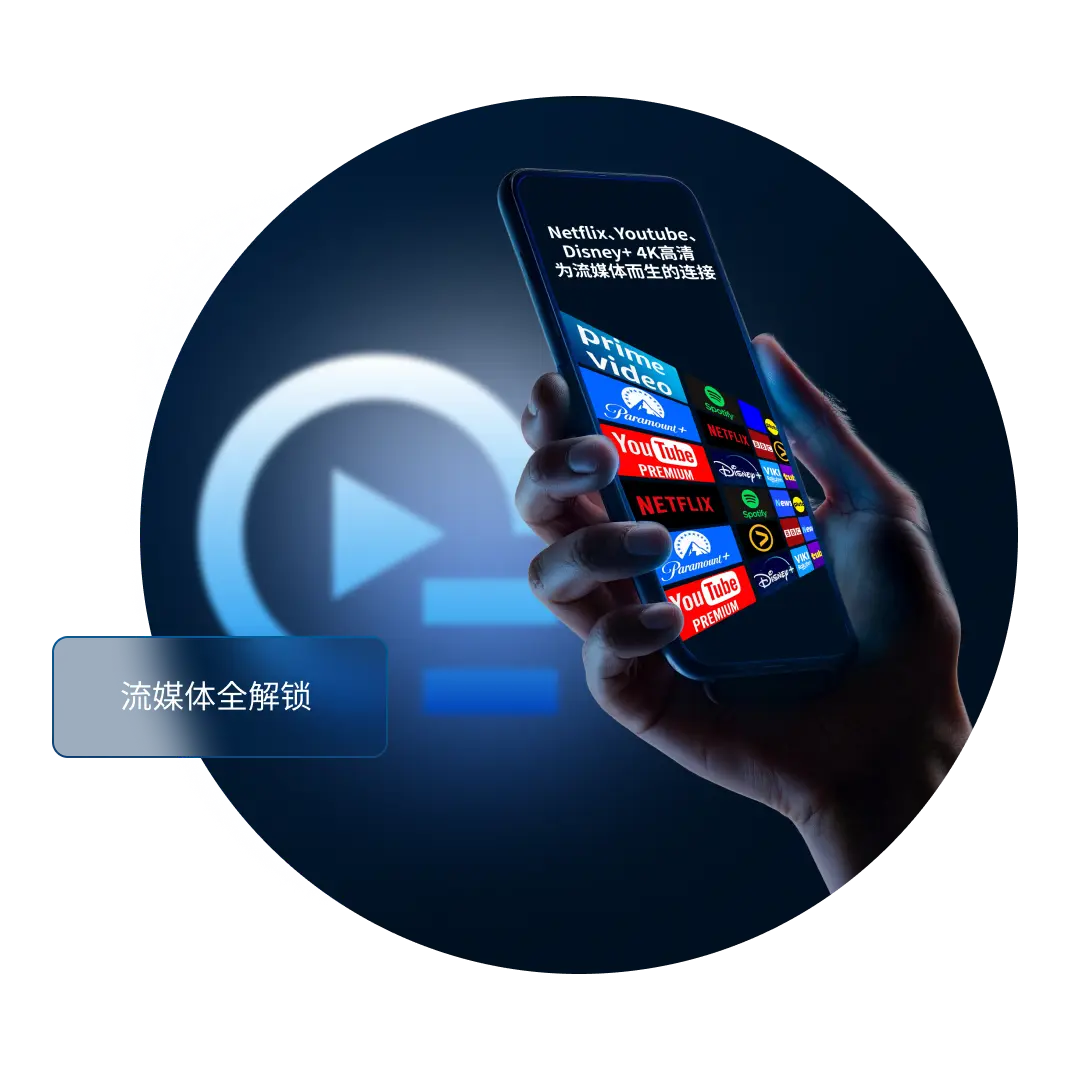 应用商店中的 QuickQ 客户端预览图